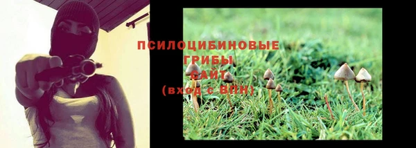 гашиш Белокуриха