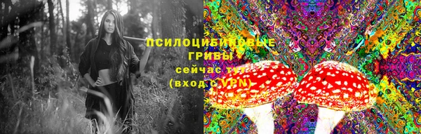 гашиш Белокуриха