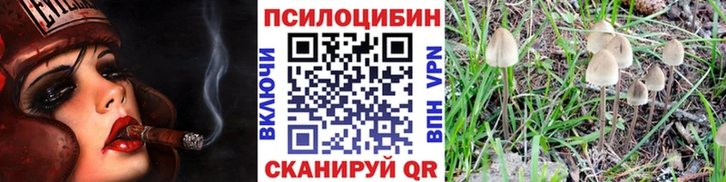 кракен вход  Дубна  Псилоцибиновые грибы MAGIC MUSHROOMS 